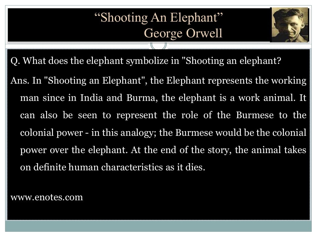 Shooting an elephant by i.s