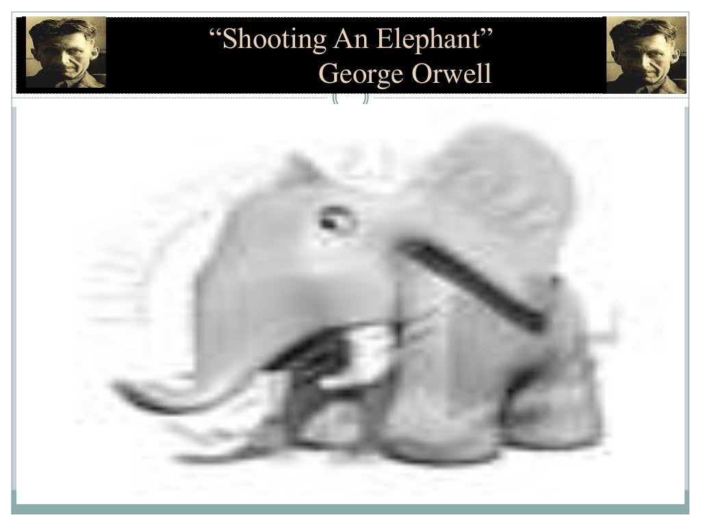 Shooting An Elephant By I s