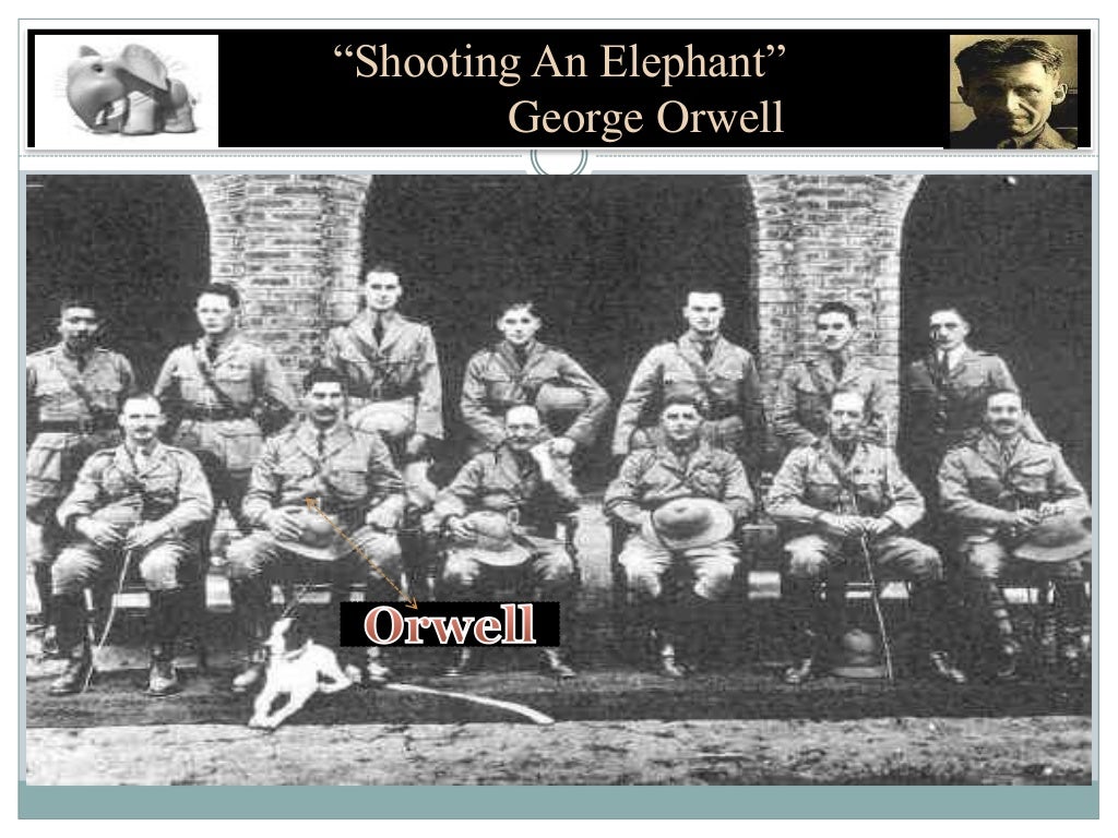Shooting An Elephant By I s