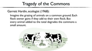 Tragedy of the Commons
Garrett Hardin, ecologist (1968):
Imagine the grazing of animals on a common ground. Each
ﬂock owner gains if they add to their own ﬂock. But
every animal added to the total degrades the commons a
small amount.
 