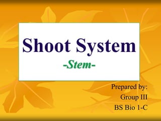 Shoot System
    -Stem-
             Prepared by:
                Group III
              BS Bio 1-C
 
