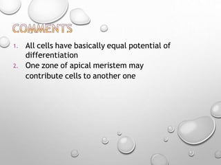 1.
2.
All cells have basically equal potential of
differentiation
One zone of apical meristem may
contribute cells to another one
 