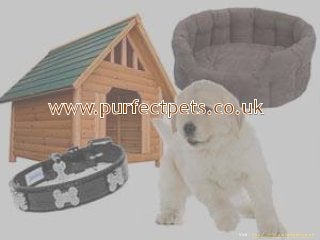 Visit : http://www.purfectpets.co.uk
 