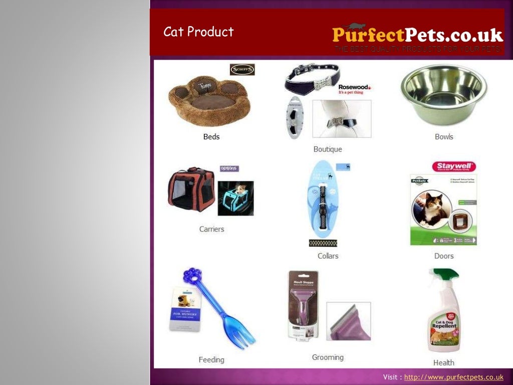 Best Dog Products