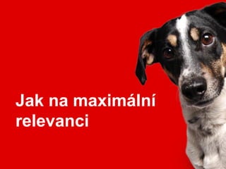 Jak na maximální
relevanci
 