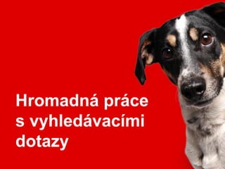 Hromadná práce
s vyhledávacími
dotazy
 