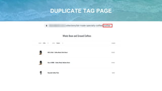 DUPLICATE TAG PAGE
 