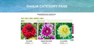 DAHLIA CATEGORY PAGE
 