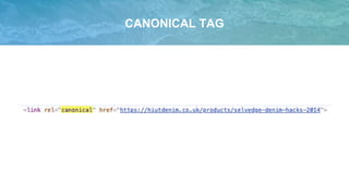 CANONICAL TAG
 
