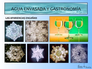 AGUA ENVASADA Y GASTRONOMÍA
LAS APARIENCIAS ENGAÑAN

 