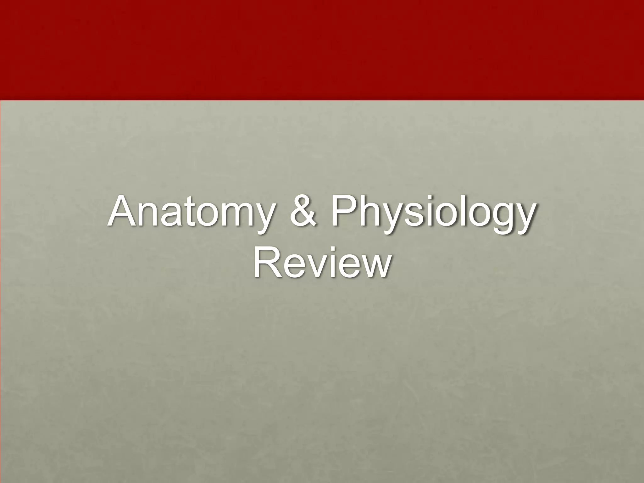 Anatomy & Physiology Review 
