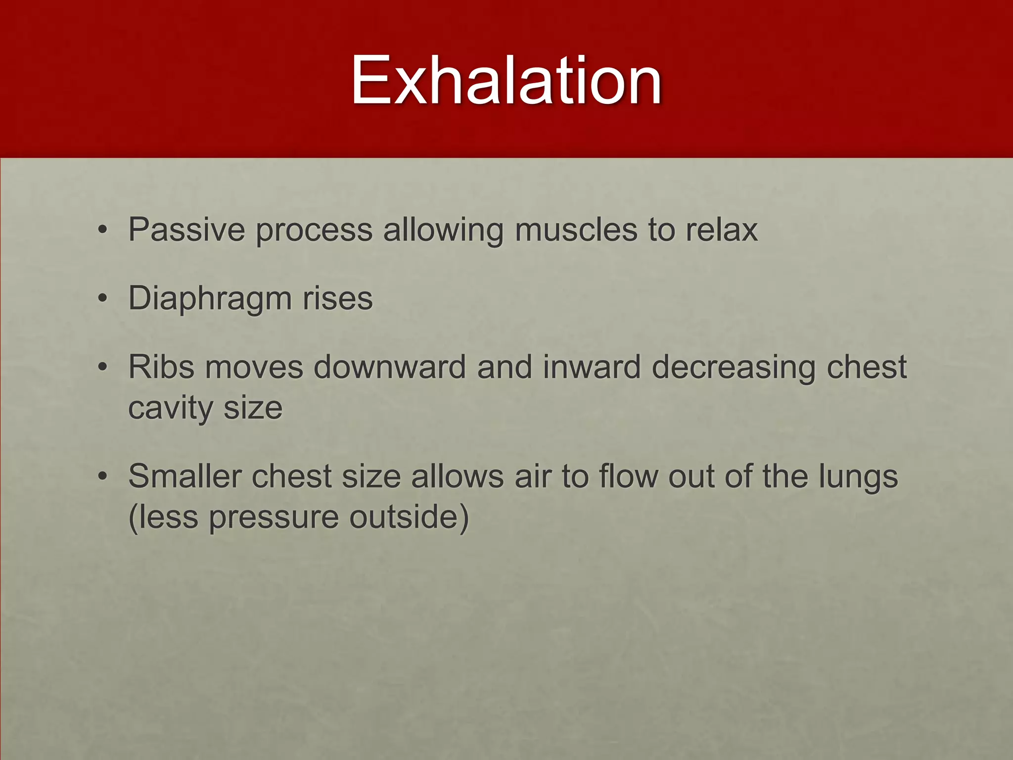 ExhalationPassive process allowing muscles to relaxDiaphragm rises Ribs moves downward and inward decreasing chest cavity sizeSmaller chest size allows air to flow out of the lungs (less pressure outside) 