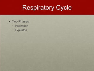 Respiratory Cycle Two Phases Inspiration Expiraton