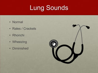 Lung SoundsNormalRales / CrackelsRhonchiWheezing Diminished