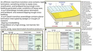 Transition Trough Shoreface Depositional Pattern in different sedimentary basins.pptx