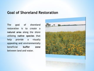 Goal of Shoreland Restoration 
The goal of shoreland 
restoration is to create a 
natural area along the shore 
utilizing ...
