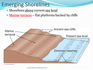 Emerging Shorelines
  Shorelines above current sea level
  Marine terraces – flat platforms backed by cliffs




               © 2011 Pearson Education, Inc.
 