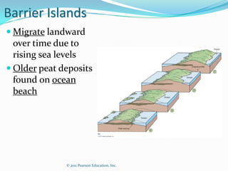 Barrier Islands
 Migrate landward
  over time due to
  rising sea levels
 Older peat deposits
  found on ocean
  beach




              © 2011 Pearson Education, Inc.
 