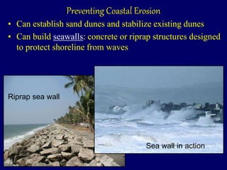 Preventing Coastal Erosion
• Can establish sand dunes and stabilize existing dunes
• Can build seawalls: concrete or riprap structures designed
to protect shoreline from waves
Riprap sea wall
Sea wall in action
 