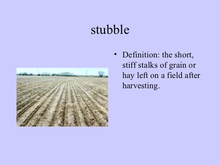 Vocabulary By the Shores of Silver Lake