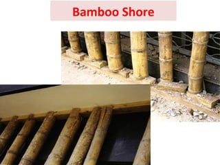 Bamboo Shore
 