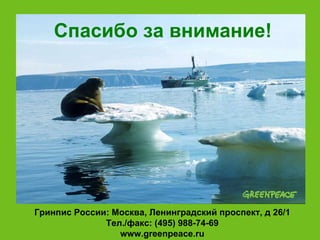 Спасибо за внимание! Гринпис России: Москва, Ленинградский проспект, д 26/1 Тел./факс: (495) 988-74-69 www.greenpeace.ru 