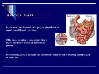 Retention of the ileocecal valve plays a pivotal role in massive small bowel resection.   If the ileocecal valve is lost, transit time is faster, and loss of fluid and nutrients is greater.   Furthermore, colonic bacteria can colonize the small bowel, worsening diarrhea and nutrient loss.   ILEOCECAL VALVE   