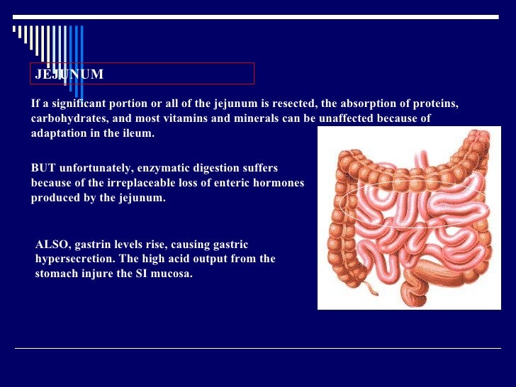 Short Bowel Syndrome