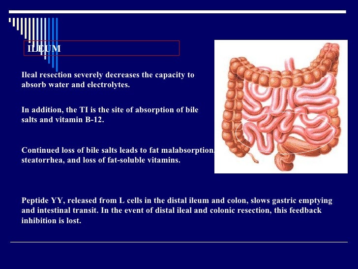 Short Bowel Syndrome