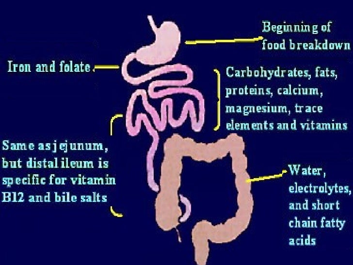 Short Bowel Syndrome