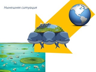 Нынешняя ситуация
 