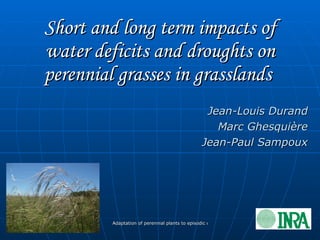 Short and long term impacts of water deficits and droughts on perennial grasses in grasslands   Jean-Louis Durand Marc Ghesquière Jean-Paul Sampoux 