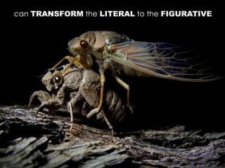 can TRANSFORM the LITERAL to the FIGURATIVE
 