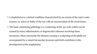 • A staphyloma is a clinical condition characterized by an ectasia of the outer coats
(cornea, or sclera or both) of the eye with an incarceration of the uveal tissue.
• The basic underlying pathology is a weakening of the eye wall, which can be
caused by many inflammatory or degenerative diseases involving these
structures. Most commonly the diseases causing a weakening of the globe are
accompanied by a raised intraocular pressure and both contribute to the
development of the staphyloma.
 