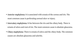 • Anterior staphyloma: It is associated with ectasia of the cornea and iris. The
most common cause is perforating corneal ulcer or injury.
• Intercalary staphyloma: It lies between the iris and the ciliary body. There is
ectasia of sclera and root of iris. The most common cause is absolute glaucoma.
• Ciliary staphyloma: There is ectasia of sclera and the ciliary body. The common
causes are absolute glaucoma and scleritis.
 