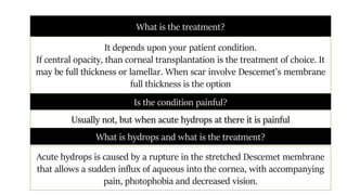 Is the condition painful?
What is the treatment?
It depends upon your patient condition.
If central opacity, than corneal transplantation is the treatment of choice. It
may be full thickness or lamellar. When scar involve Descemet’s membrane
full thickness is the option
Usually not, but when acute hydrops at there it is painful
What is hydrops and what is the treatment?
Acute hydrops is caused by a rupture in the stretched Descemet membrane
that allows a sudden influx of aqueous into the cornea, with accompanying
pain, photophobia and decreased vision.
 