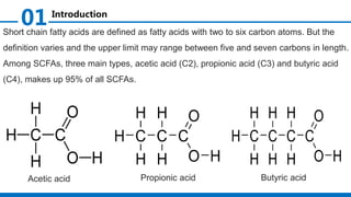 Short chain fatty acids analysis Slide 4