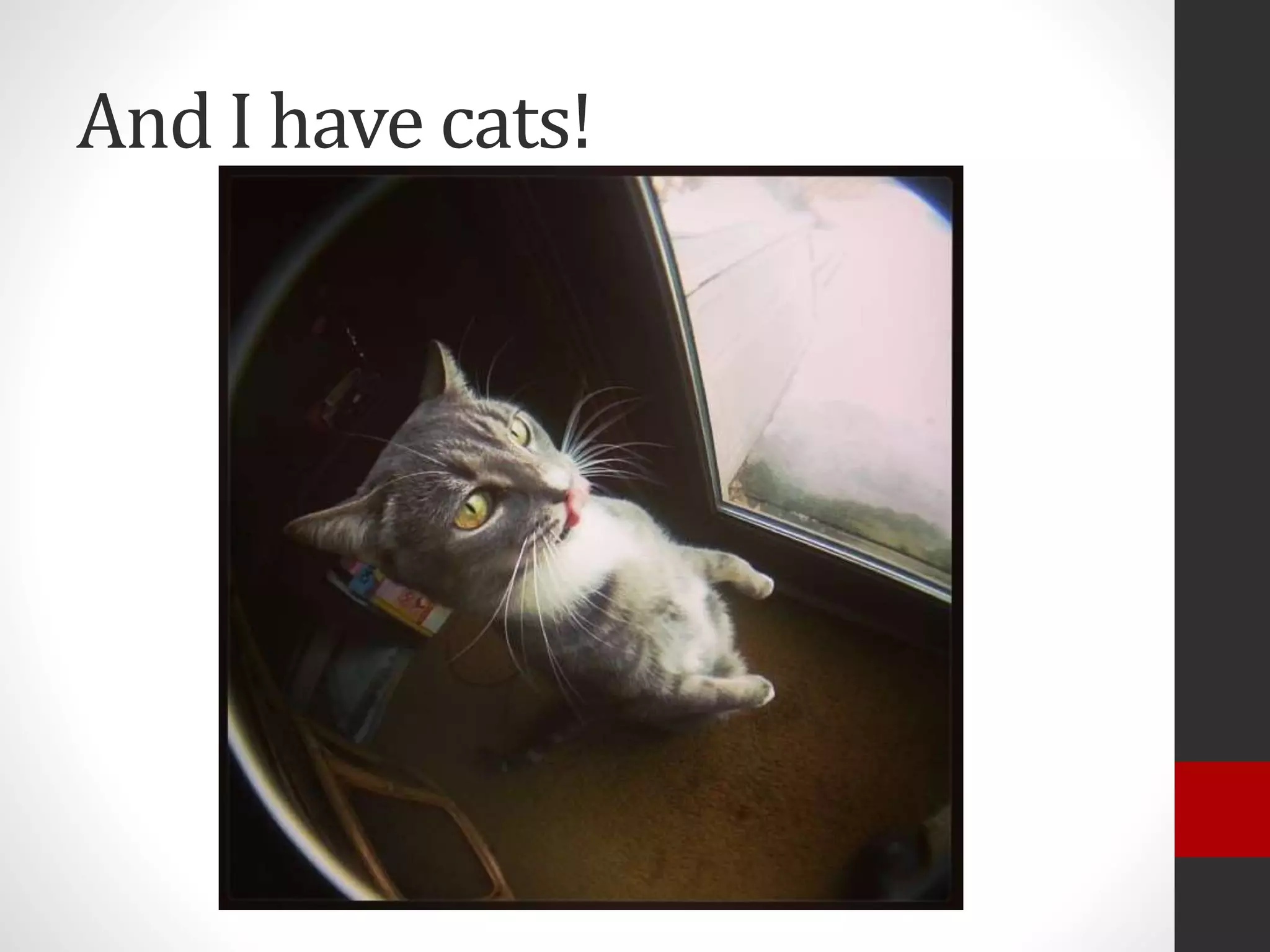 And I have cats!
 