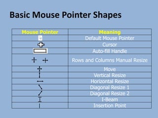 Basic Mouse Pointer Shapes
Mouse Pointer Meaning
Default Mouse Pointer
Cursor
Auto-fill Handle
Rows and Columns Manual Resize
Move
Vertical Resize
Horizontal Resize
Diagonal Resize 1
Diagonal Resize 2
I-Beam
Insertion Point
 