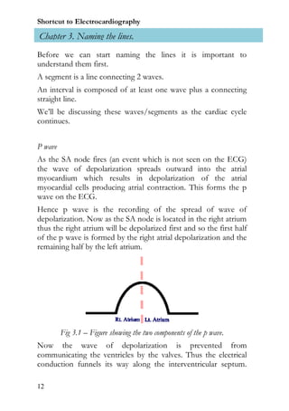 Shortcut to Electrocardiography
Chapter 3. Naming the lines.
Before we can start naming the lines it is important to
understand them first.
A segment is a line connecting 2 waves.
An interval is composed of at least one wave plus a connecting
straight line.
We’ll be discussing these waves/segments as the cardiac cycle
continues.


P wave
As the SA node fires (an event which is not seen on the ECG)
the wave of depolarization spreads outward into the atrial
myocardium which results in depolarization of the atrial
myocardial cells producing atrial contraction. This forms the p
wave on the ECG.
Hence p wave is the recording of the spread of wave of
depolarization. Now as the SA node is located in the right atrium
thus the right atrium will be depolarized first and so the first half
of the p wave is formed by the right atrial depolarization and the
remaining half by the left atrium.




         Fig 3.1 – Figure showing the two components of the p wave.
Now the wave of depolarization is prevented from
communicating the ventricles by the valves. Thus the electrical
conduction funnels its way along the interventricular septum.

12
 