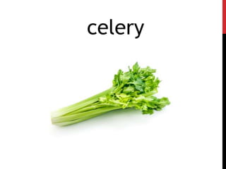 celery
 