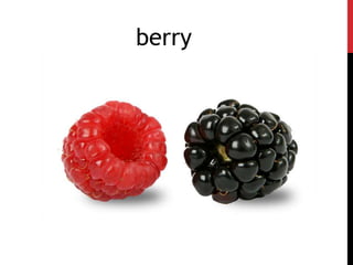 berry
 