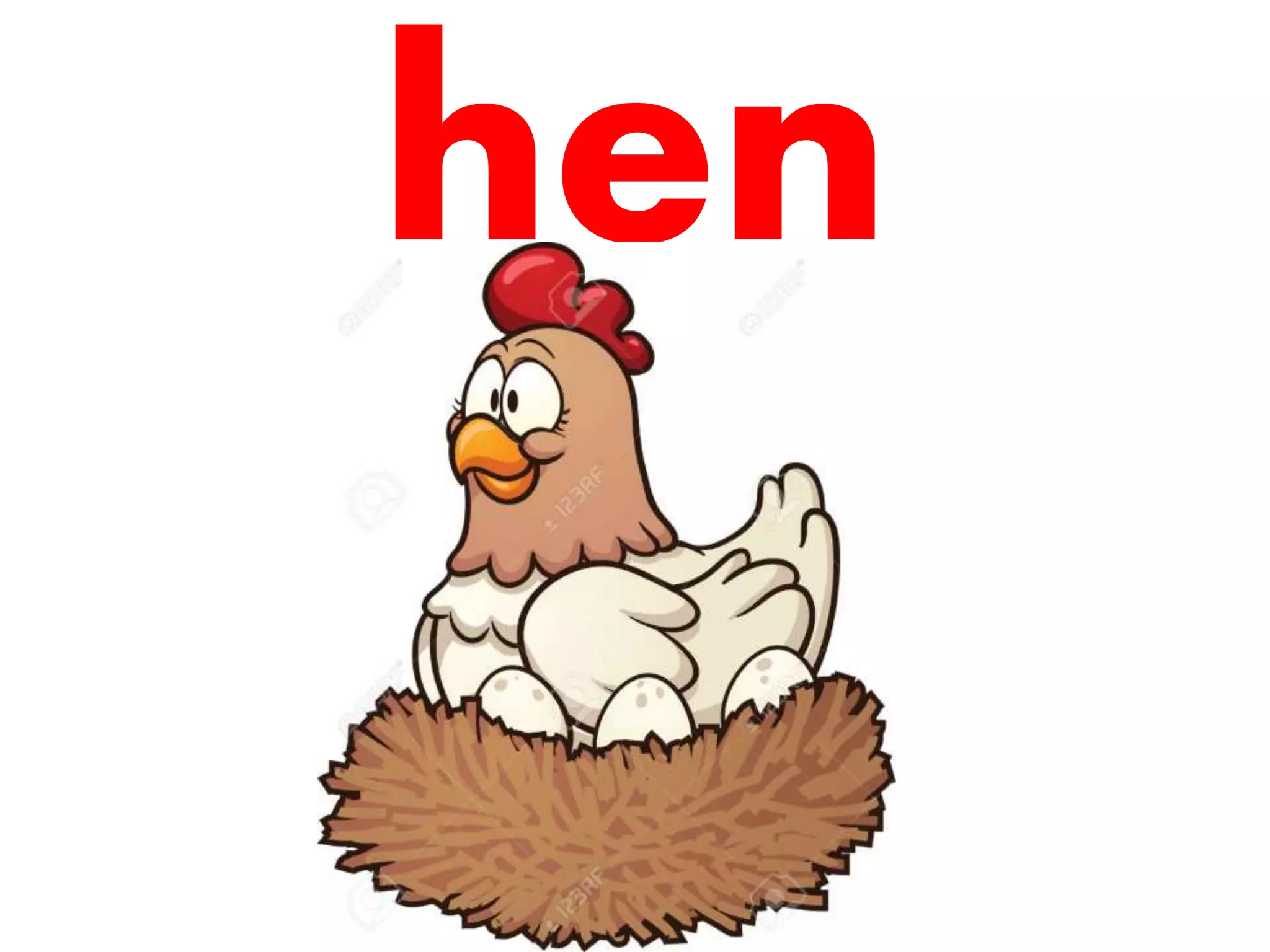 hen