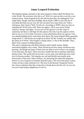 Amur Leopard Extinction
The Panthera pardus orientalis or the amur leopard is often called The Rarest Cat
in the World . Do you know why this is so? Well, let s just say this is not for a very
content reason. Amur leopards go by this title because they are endangered. You
might think, though, that there probably about maybe 2,000 or more left, but if
you think that then you are way off. Do you know how many there are? Take a
wild guess. Don t know? Well, I ll tell you. According to WWF, there are only an
estimated 60 70 left in the wild. There are approx. 220 in zoos across North
America, Europe, and Japan. As you can see this species is on the verge of
extinction, but there is still hope for this species.The only way this species will be
able to survive is if we help. First here is some information about my species. First,
you should probably know some basic facts about The Amur leopard. Males generally
weigh about 71 106 lbs but can weigh up to about 165 lbs. Females are smaller than
the males at 55 94 lbs. Their height is usually about 2 3 feet at the shoulder. They...
Show more content on Helpwriting.net ...
This area is unforgiving with Short summers and 6 month winters. Brutal
snowstorms happen every winter. These forests do not have many coniferous trees
growing. All though not many of these trees are able to survive here is an example
of one that does, the larch. These trees have needle like leaves and they shed them
during winter. The needle like leaves have a waxy outer coat which prevents water
loss in freezing weather. The branches are soft and flexible and usually point
downwards so that snow slides off them. An interesting fact about the temperate
forests is even evergreens eventually shed their pines. The soil in this place is poor,
it does not have many nutrients in it. The trees in the Russian Temperate Forests
have leaves and pines that take a long time to break down into the soil. As you can
see you ll need unique adaptations to survive
 