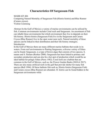 Characteristics Of Sargassum Fish
MARB 425 406
Comparing Natural Mortality of Sargassum Fish (Histrio histrio) and Blue Runner
(Caranx crysos).
Violeta Curameng
Abstract In the Gulf of Mexico a variety of marine environments can be utilized by
fish. Common environments include Coral reefs and Sargassum. An assortment of fish
can inhabit these environments but which environment they live in depends on their
life history. Histrio histrio (Sargassum Fish) live in the Sargassum and Caranx
Crysos (Blue Runner) live in the open water near reefs. Natural mortality of these
species can be linked to their distribution and their life history strategies.
Introduction
In the Gulf of Mexico there are many different marine habitats that reside in its
waters. From reef environments to floating Sargassum, a diverse variety of fishes
can be found. Sargassum, is a type of brown algae that consists of two species, S.
natans and S. fluitans (Rooker 2006). Sargassum has been linked to primary and
secondary production and can also be a hot spot of production which would be an
ideal habitat for pelagic fishes (Peres 1982). Coral reefs are a habitat that are
common in the Gulf of Mexico, such as, the Flower Garden Banks (NOAA 2017).
There are also many artificial reefs in the gulf that provide shelter for many fish
species (Bull 1994). Of these habitats fish such as, Histrio histrio (Sargassum Fish)
and Caranx crysos (Blue Runner) are abundant. H. histrio can be found hidden in the
Sargassum environments while
 