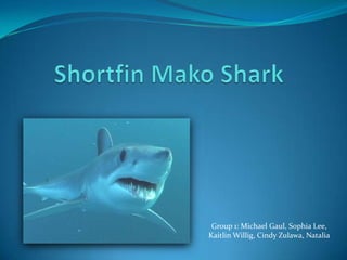 ShortfinMako Shark Group 1: Michael Gaul, Sophia Lee, Kaitlin Willig, Cindy Zulawa, Natalia 