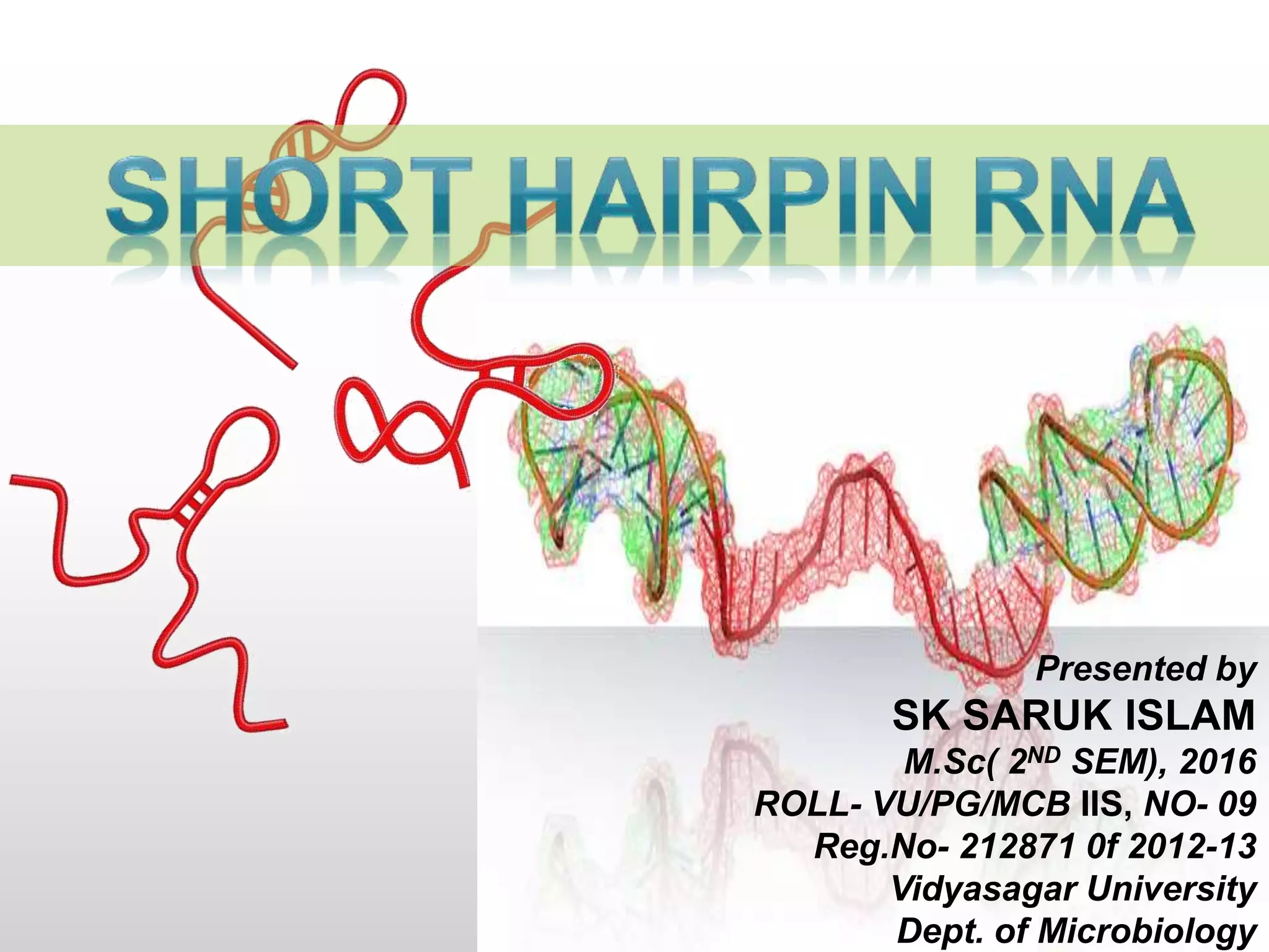 Short hairpin rna | PPTX
