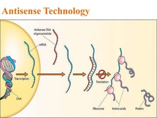 Antisense Technology
 