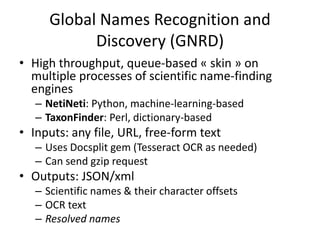 Global Names Recognition and
Discovery (GNRD)
• High throughput, queue-based « skin » on
multiple processes of scientific name-finding
engines
– NetiNeti: Python, machine-learning-based
– TaxonFinder: Perl, dictionary-based
• Inputs: any file, URL, free-form text
– Uses Docsplit gem (Tesseract OCR as needed)
– Can send gzip request
• Outputs: JSON/xml
– Scientific names & their character offsets
– OCR text
– Resolved names
 