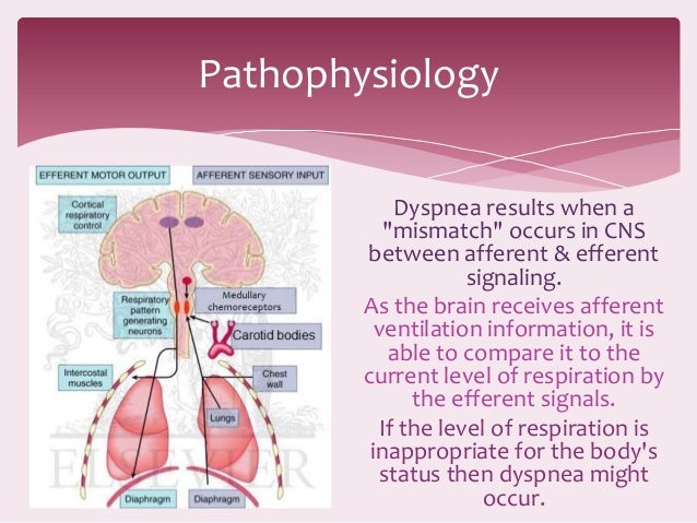 to check how respiration Dyspnea to check how respiration Dyspnea